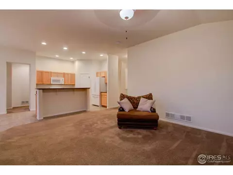 384 Shadowbrook Dr, Windsor, CO 80550 photo 8