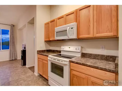 384 Shadowbrook Dr, Windsor, CO 80550 photo 16
