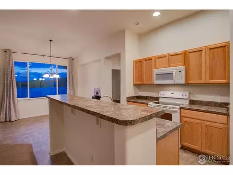 384 Shadowbrook Dr, Windsor, CO 80550 photo 12