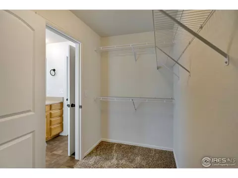 640 Mt Princeton Dr, Severance, CO 80550 photo 26