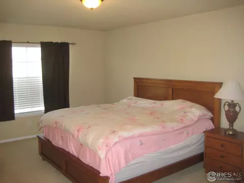 7580 E 129th Pl, Thornton, CO 80602 photo 9