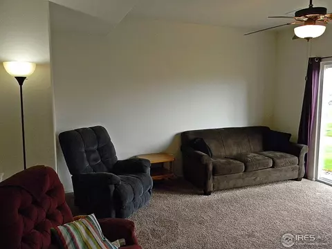 907 Glenbrook Ct, Windsor, CO 80550 photo 20