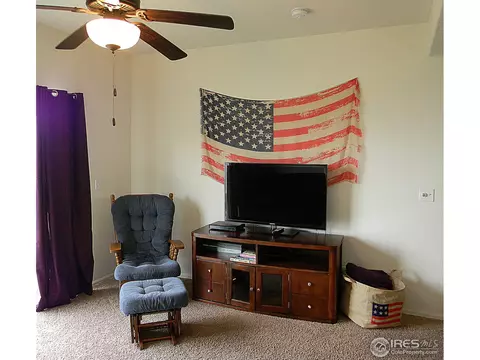 907 Glenbrook Ct, Windsor, CO 80550 photo 21