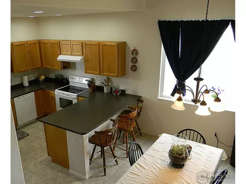 907 Glenbrook Ct, Windsor, CO 80550 photo 5