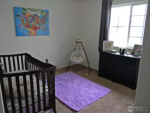 907 Glenbrook Ct, Windsor, CO 80550 photo 18