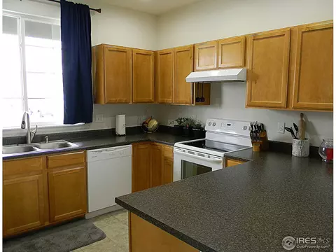 907 Glenbrook Ct, Windsor, CO 80550 photo 10