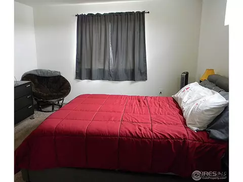 907 Glenbrook Ct, Windsor, CO 80550 photo 13