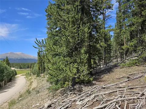 44083 Co Rd 1, Fairplay, CO 80440