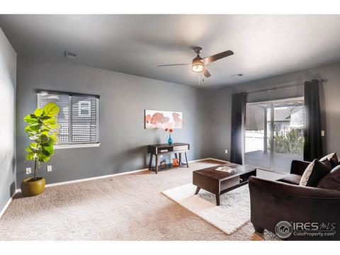 9894 Buffalo St, Firestone, CO 80504 photo 20