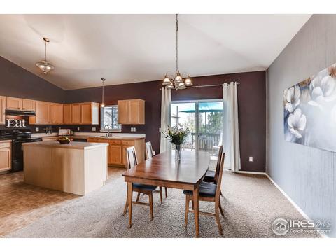 9894 Buffalo St, Firestone, CO 80504 photo 8