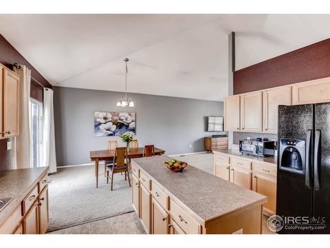 9894 Buffalo St, Firestone, CO 80504 photo 10