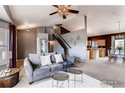 9894 Buffalo St, Firestone, CO 80504 photo 5