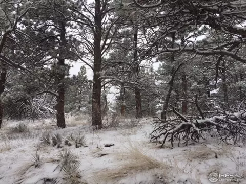 8364 W Fork Rd, Boulder, CO 80302 photo 34