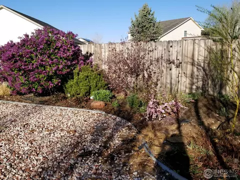 3003 Bison Ct, Evans, CO 80620 photo 9