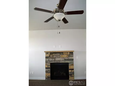 1102 Cottontail Ln, Wiggins, CO 80654 photo 3