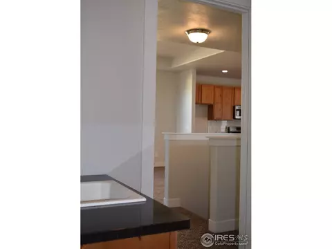1102 Cottontail Ln, Wiggins, CO 80654 photo 17