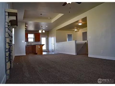 1102 Cottontail Ln, Wiggins, CO 80654 photo 4