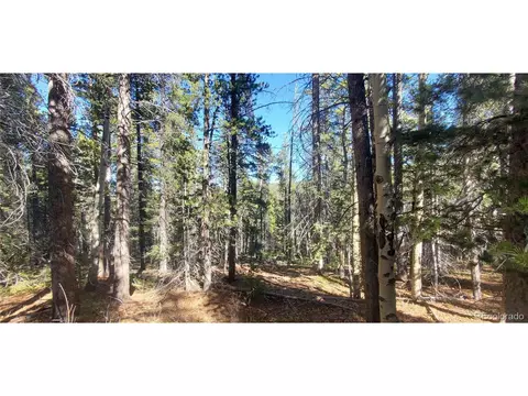 3023 Bolwell Ln, Fort Garland, CO 81133