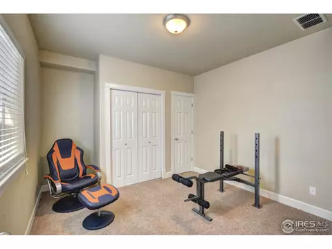 4306 Pennyroyal Ln, Evans, CO 80620 photo 24