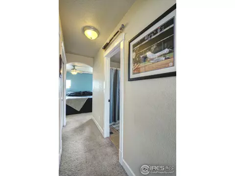 4306 Pennyroyal Ln, Evans, CO 80620 photo 15
