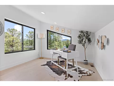 86 Star Ln, Bailey, CO 80421 photo 32