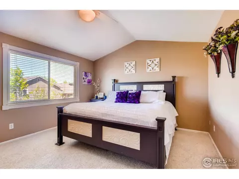 3831 E 138th Pl, Thornton, CO 80602 photo 19