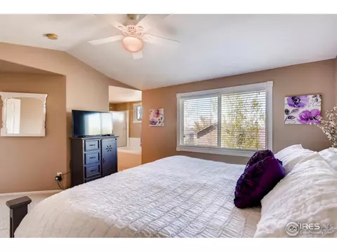 3831 E 138th Pl, Thornton, CO 80602 photo 21