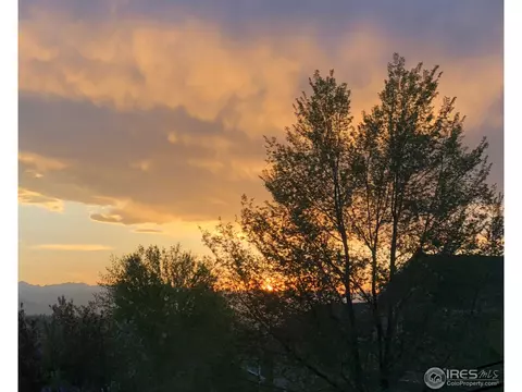 3831 E 138th Pl, Thornton, CO 80602 photo 31