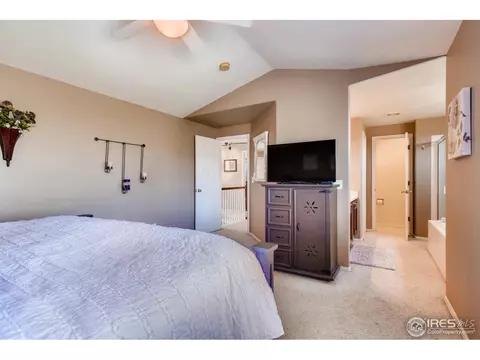 3831 E 138th Pl, Thornton, CO 80602 photo 20