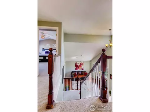 3831 E 138th Pl, Thornton, CO 80602 photo 17