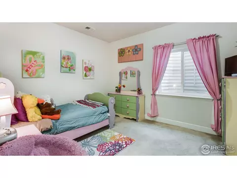 5443 E 125th Dr, Thornton, CO 80241 photo 31
