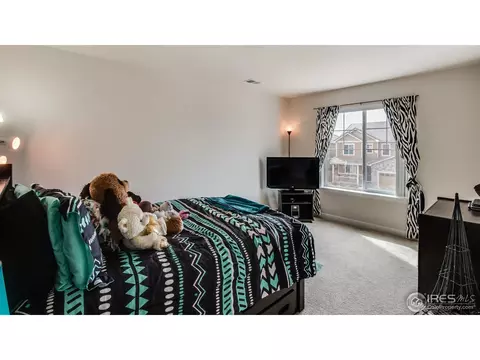 5443 E 125th Dr, Thornton, CO 80241 photo 23