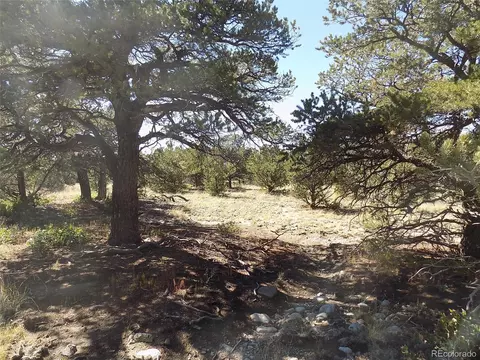 Little Bear Rd, Mosca, CO 81146 photo 6