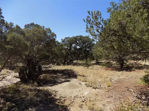Little Bear Rd, Mosca, CO 81146 photo 3