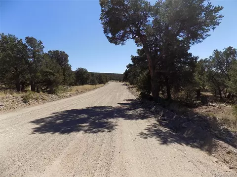 Little Bear Rd, Mosca, CO 81146 photo 14