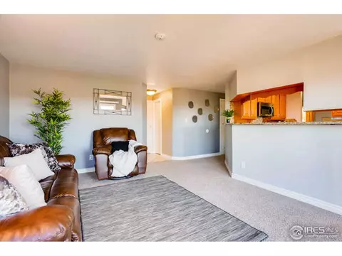 5461 E 123rd Ave, Thornton, CO 80241 photo 15