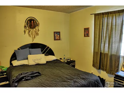 3683 E 99th Pl, Thornton, CO 80229 photo 8