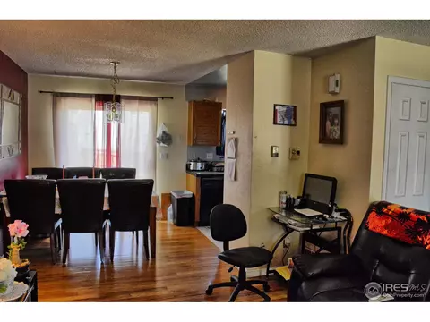 3683 E 99th Pl, Thornton, CO 80229 photo 3