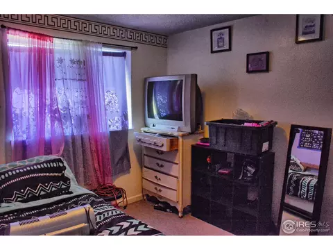 3683 E 99th Pl, Thornton, CO 80229 photo 10