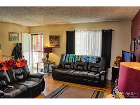 3683 E 99th Pl, Thornton, CO 80229 photo 7