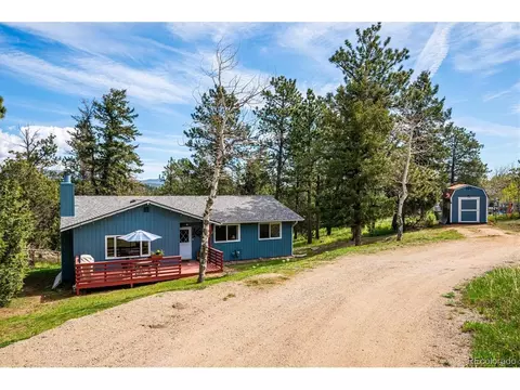 113 Bluebird Ln, Bailey, CO 80421 photo 16