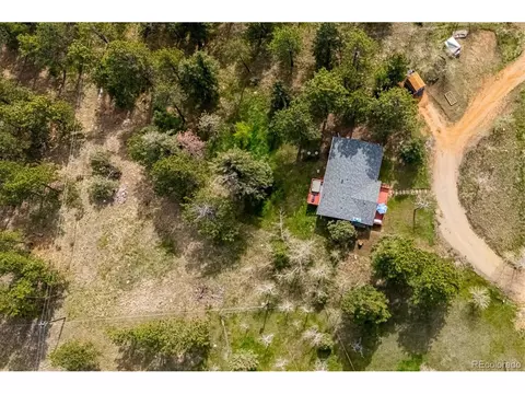 113 Bluebird Ln, Bailey, CO 80421 photo 30