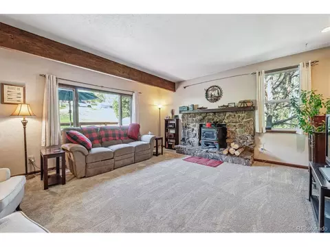 113 Bluebird Ln, Bailey, CO 80421 photo 3