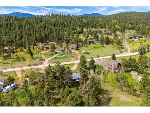 113 Bluebird Ln, Bailey, CO 80421 photo 28