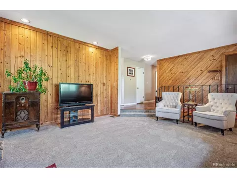 113 Bluebird Ln, Bailey, CO 80421 photo 5