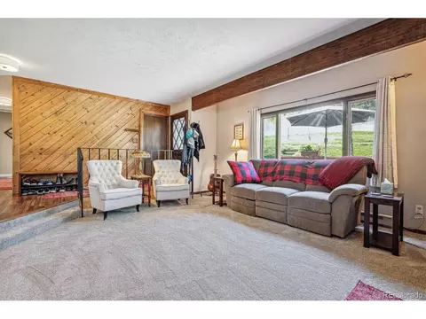 113 Bluebird Ln, Bailey, CO 80421 photo 4