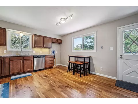 113 Bluebird Ln, Bailey, CO 80421 photo 6