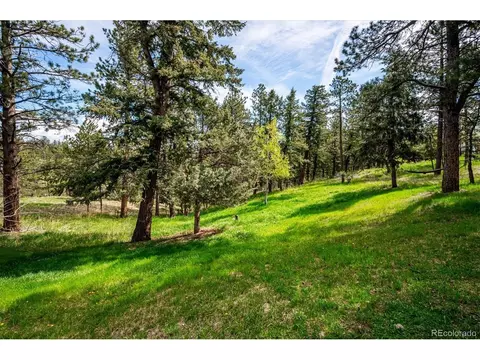113 Bluebird Ln, Bailey, CO 80421 photo 22
