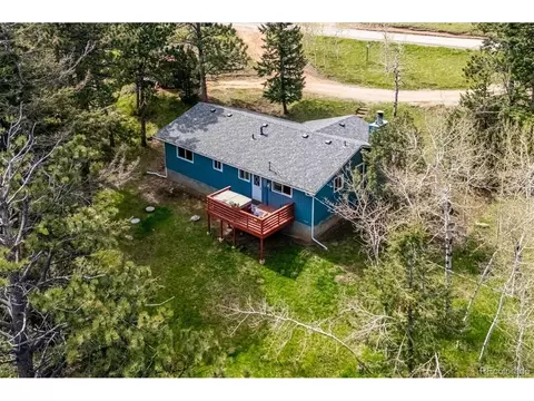113 Bluebird Ln, Bailey, CO 80421 photo 29