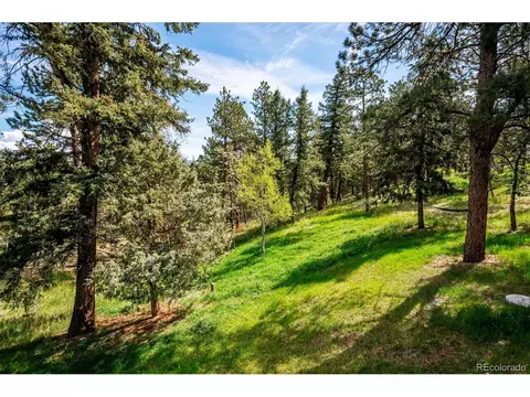 113 Bluebird Ln, Bailey, CO 80421 photo 19